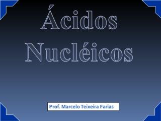 Ácidos nucléicos- VF.ppt