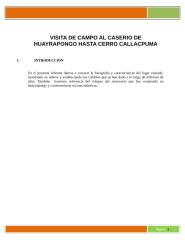 Visita al CASERÍO HUAYRAPONGO hasta CERRO CALLACPUMA.docx